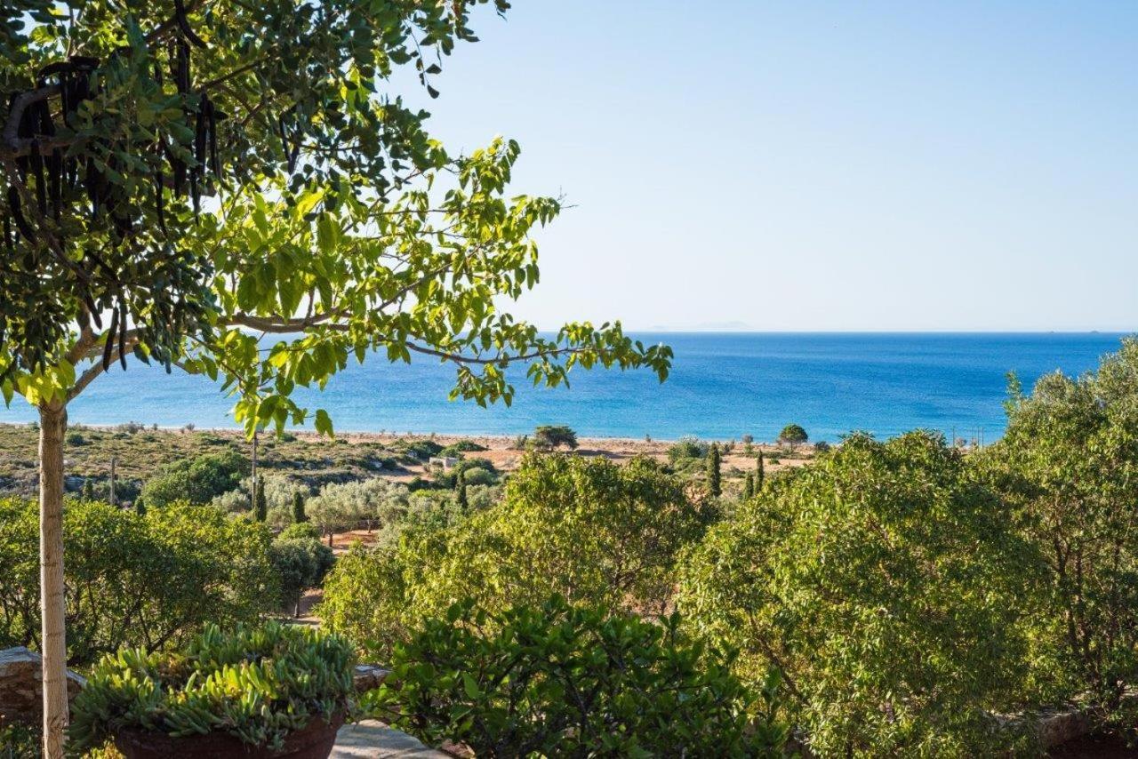 Villa Venus Avlemonas Zewnętrze zdjęcie
